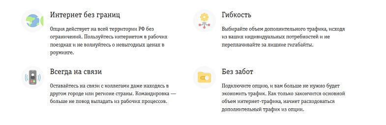 Преимущества интернет-опций Билайн "Форсаж для бизнеса"